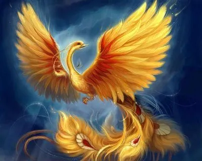 O CAMINHO DA FENIX